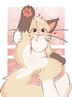 cat feline furry // 901x1200 // 118KB