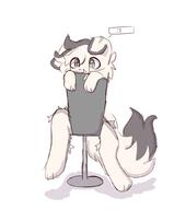 canines dog furry // 934x1053 // 53KB